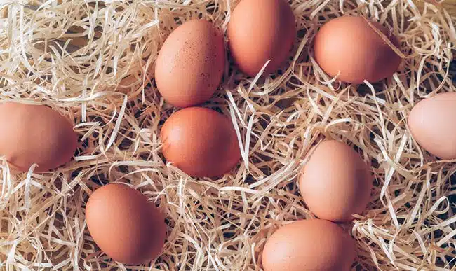 Vajíčka a vysoký cholesterol