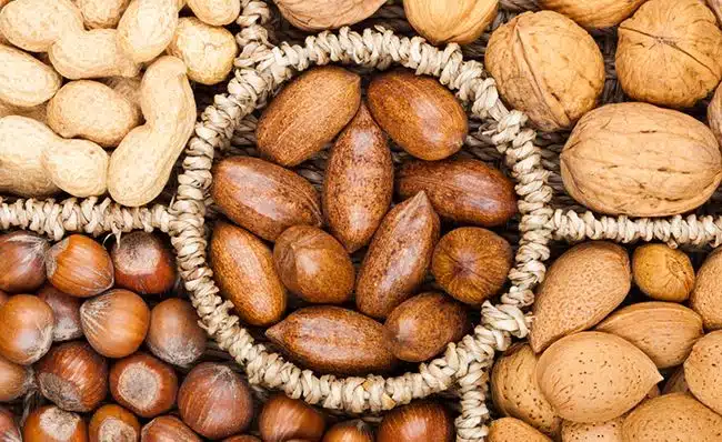 Různé druhy ořechů jako superpotraviny