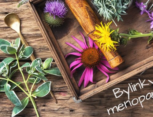 Bylinky na menopauzu: 12 druhů, které snižují příznaky menopauzy