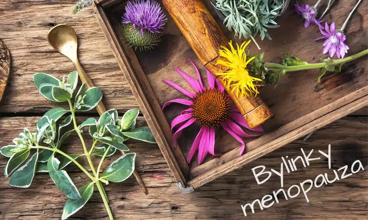 12 druhů bylinek na menopauzu, které snižují příznaky