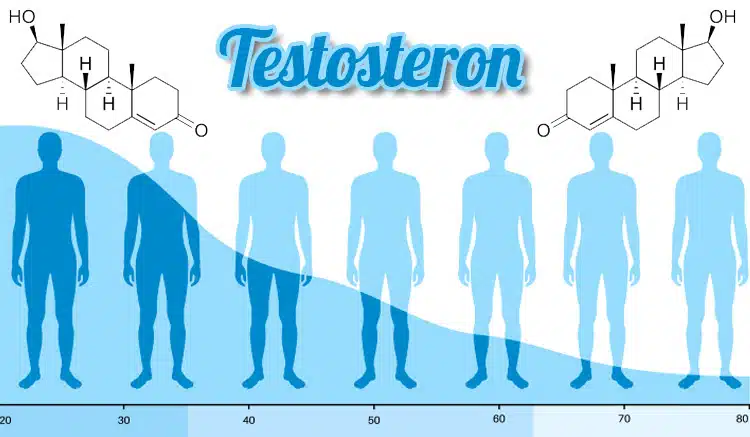Testosteron do detailu: Klíč k mužskému zdraví